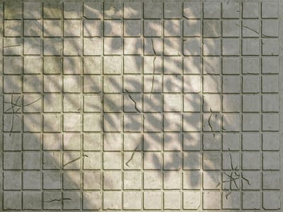 Gray stone tiles with leaf shadows wall mural