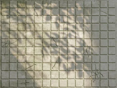 Gray stone tiles with leaf shadows wall mural