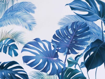 Tropical blue monstera and palm wall mural