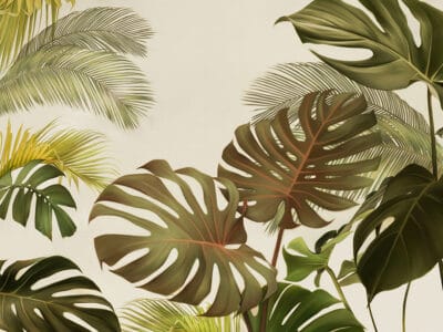Tropical bright monstera and palm wall mural