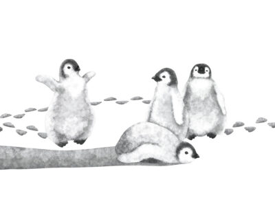 Watercolor black and white penguins kids wall mural