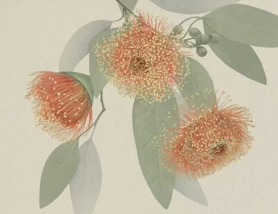 Maximalistic orange flowers with delicate leaves wall mural