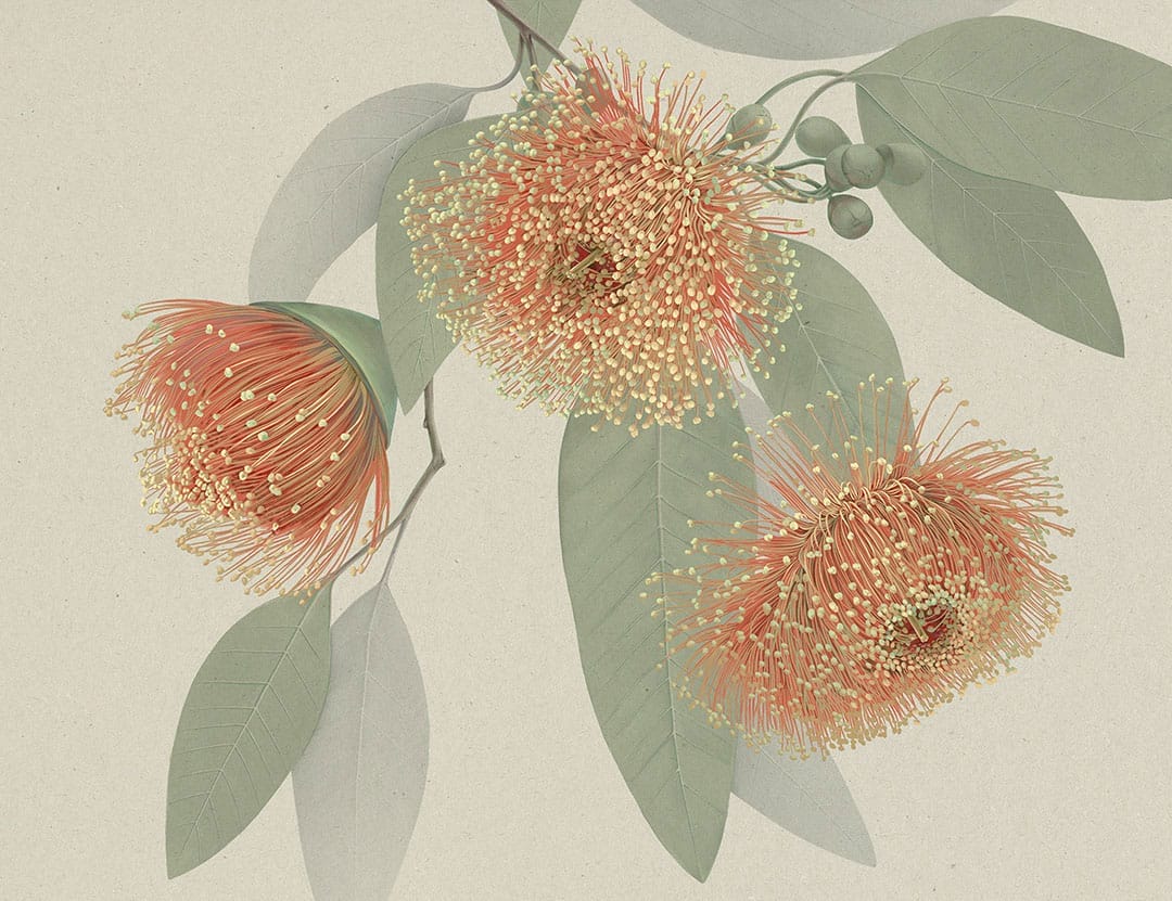 Maximalistic orange flowers with delicate leaves wall mural