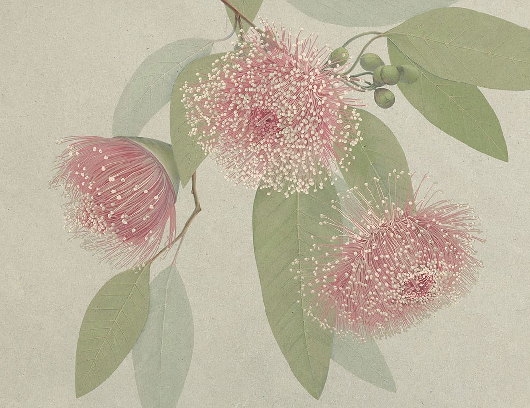Maximalistic pink flowers with delicate leaves wall mural
