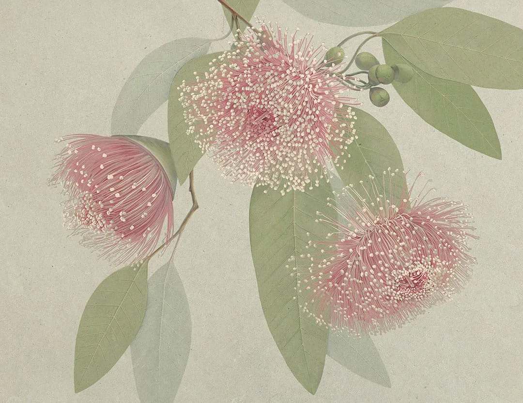Maximalistic pink flowers with delicate leaves wall mural