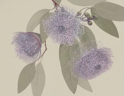 Maximalistic purple flowers with delicate leaves wall mural