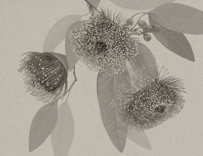 Black and white delicate maximalistic floral wall mural with delicate leaves