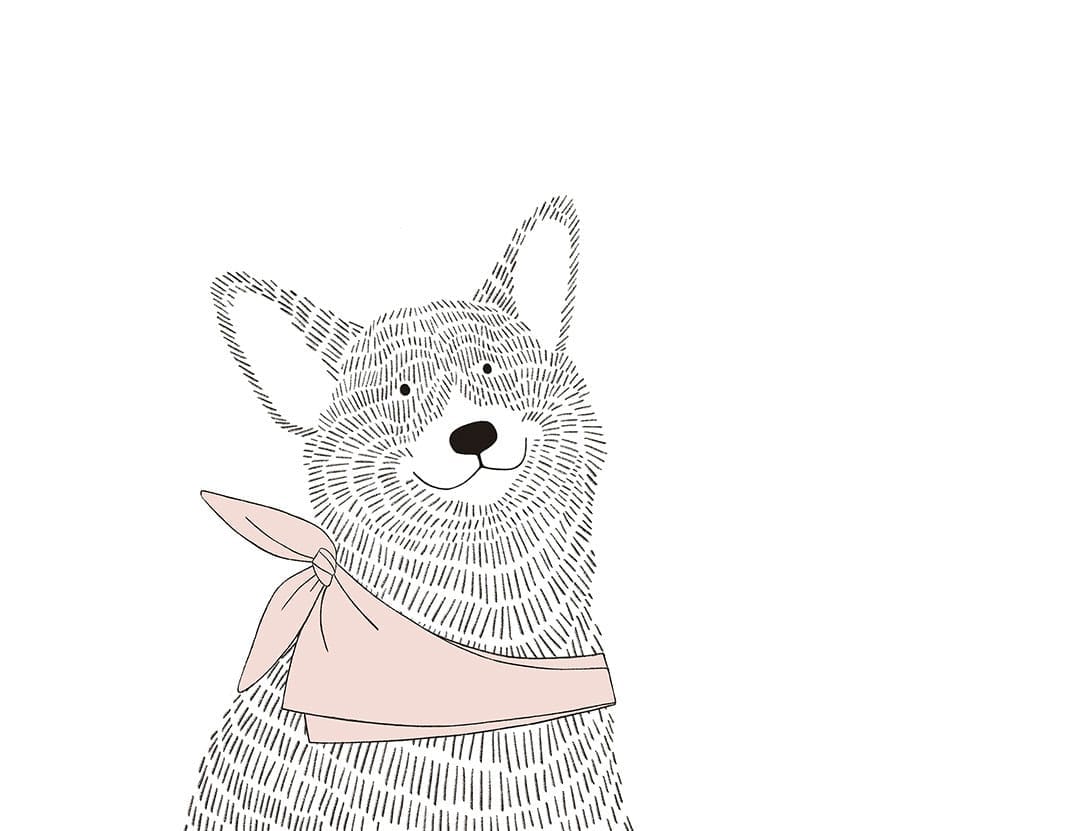 Minimalistic graphic-styled wall mural with a Corgi dog in pink shawl