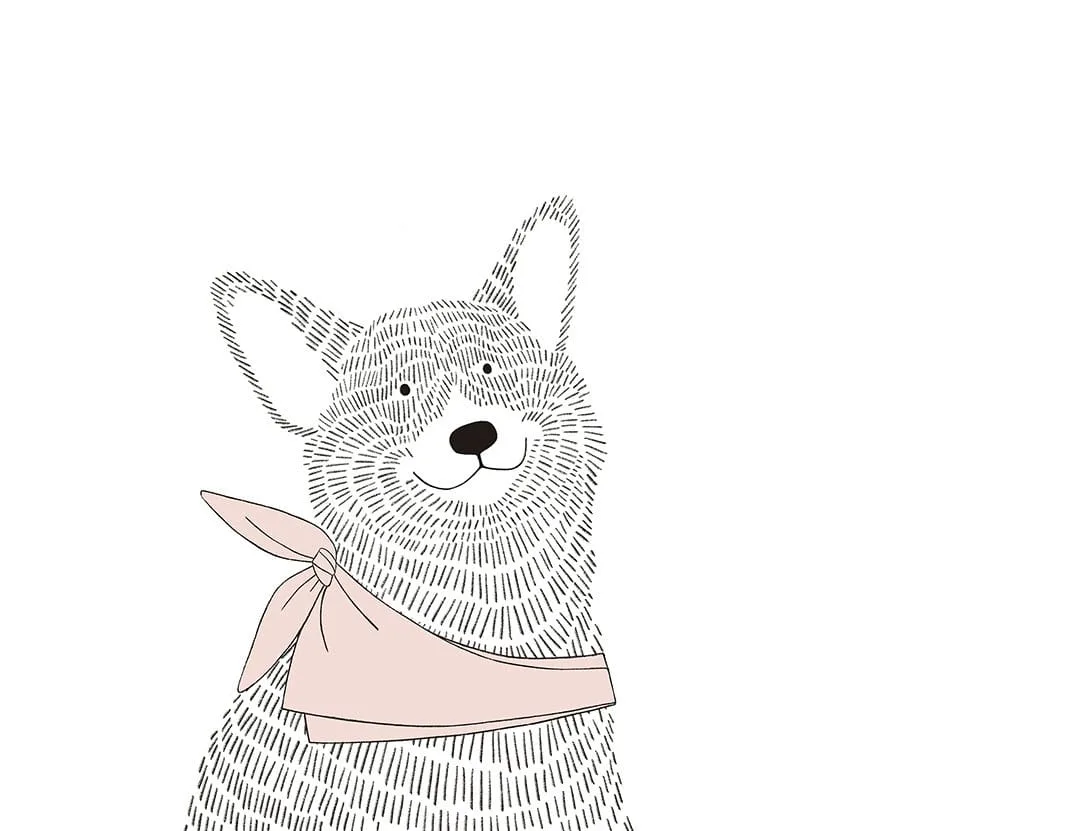 Minimalistic graphic-styled wall mural with a Corgi dog in pink shawl