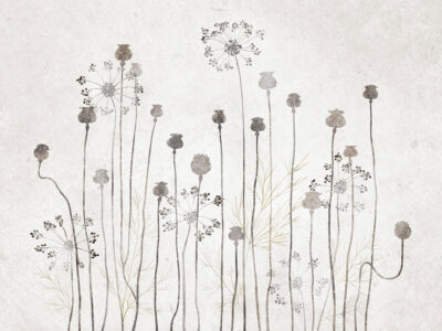 Delicate minimalist plants and dandelions wall mural