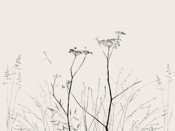 Delicate minimalist black flowers wall mural