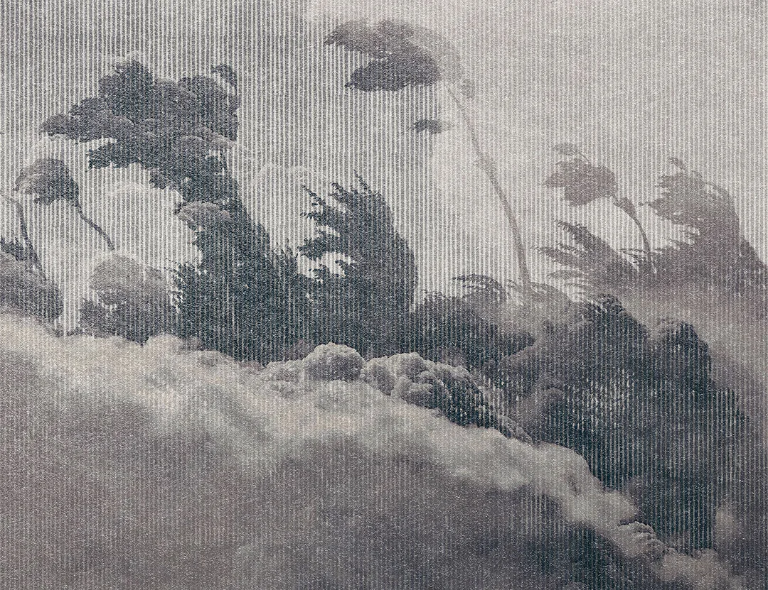 Gray vintage etching textured wall mural with forest trees