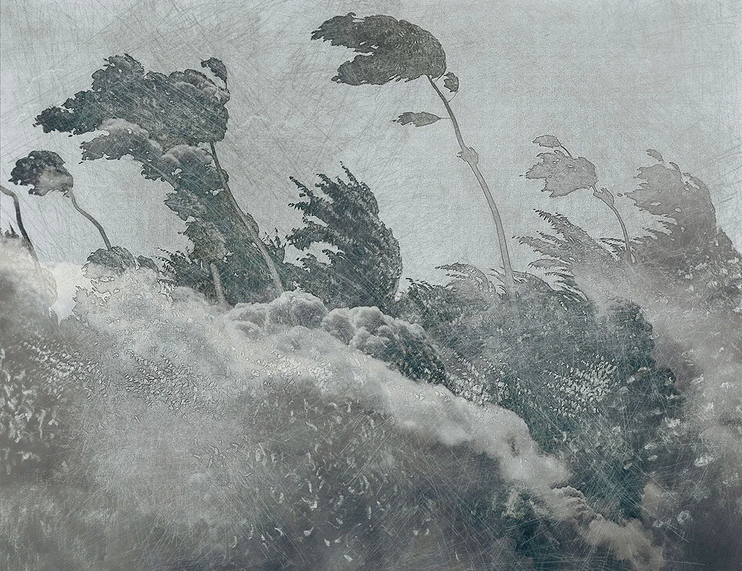 Gray vintage etching wall mural with forest trees
