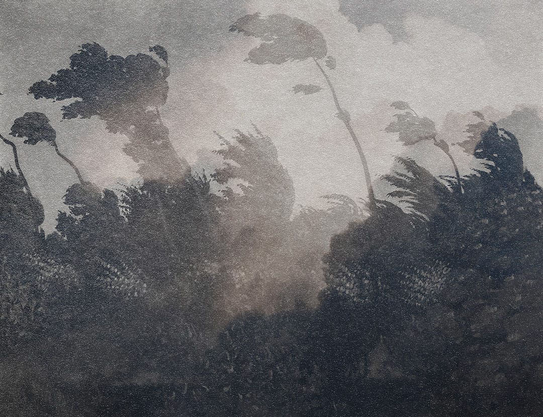 Vintage gray etching forest with clouds wall mural