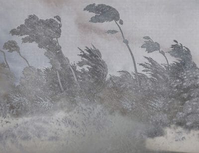 Vintage gray etching textured forest wall mural