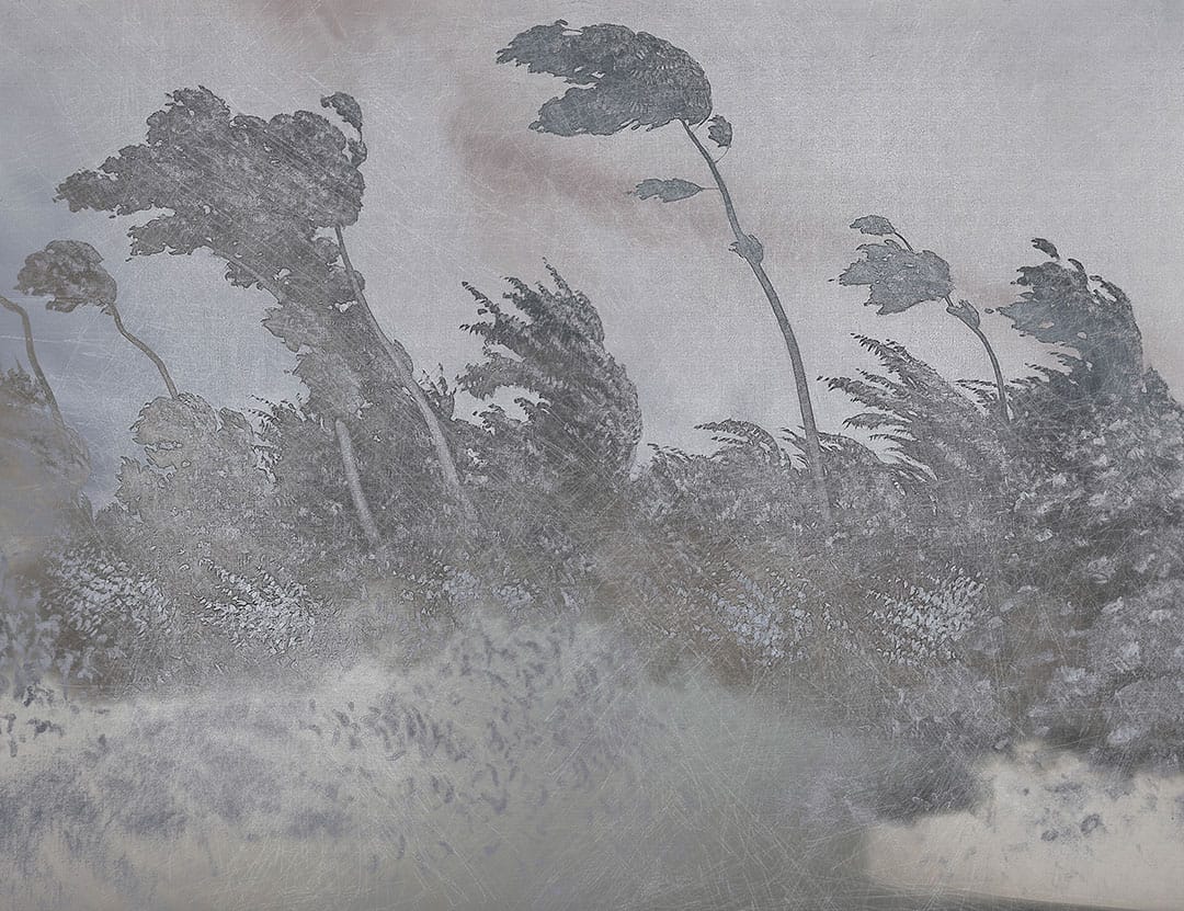 Vintage gray etching textured forest wall mural
