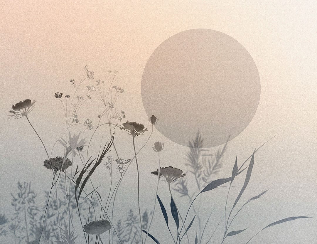 Tender flowers on the gradient background wall mural