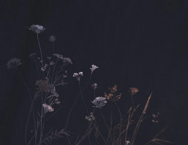 Minimalistic dark floral wall mural