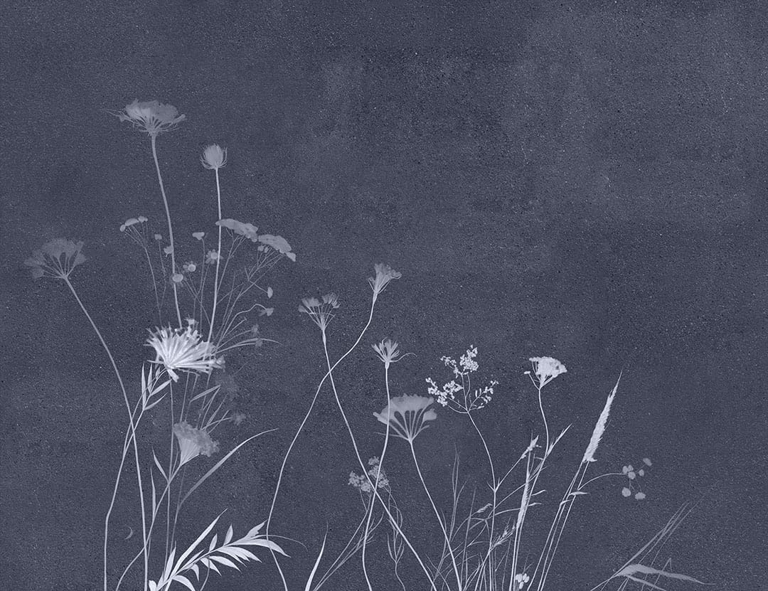 Minimalistic blue floral wall mural