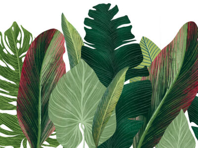 Maximalistic wall mural with detailed tropical leaves on the white background