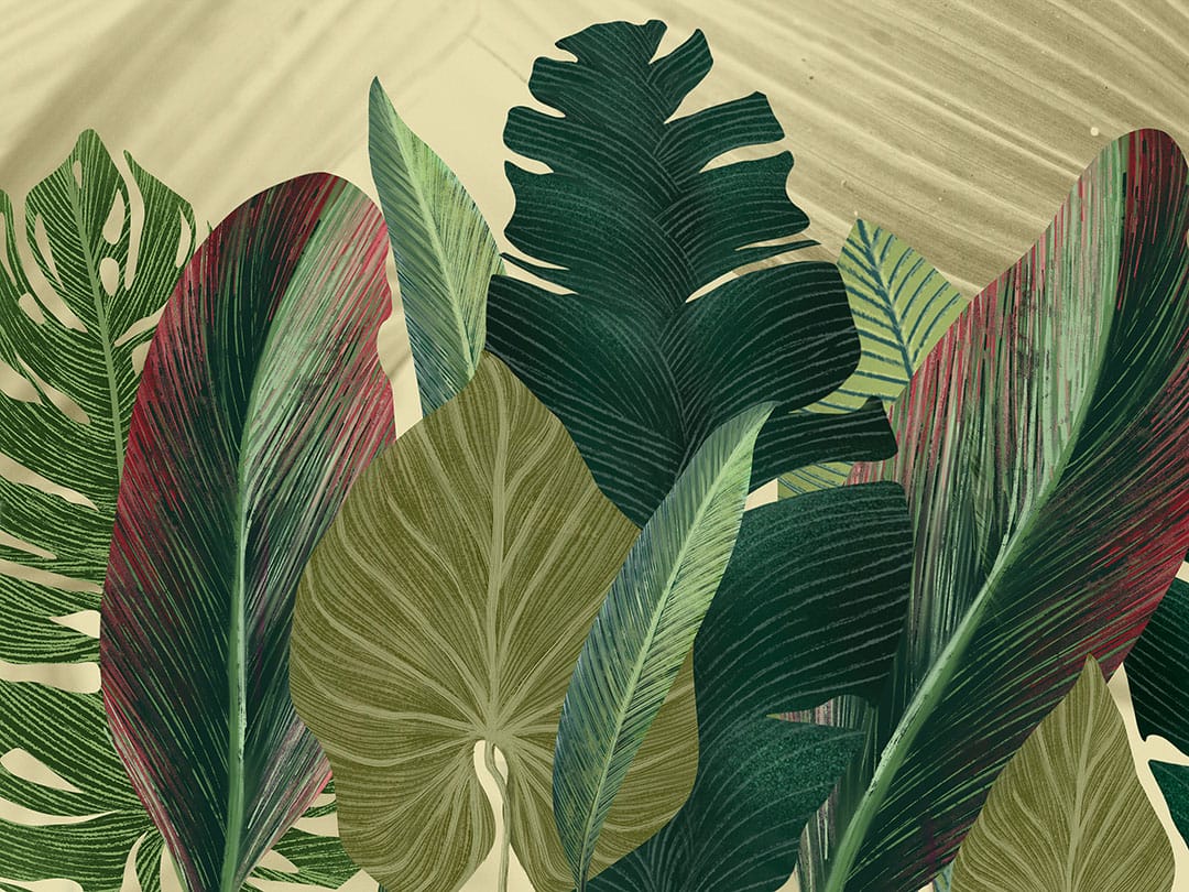 Maximalistic wall mural with detailed tropical leaves on the textured light background
