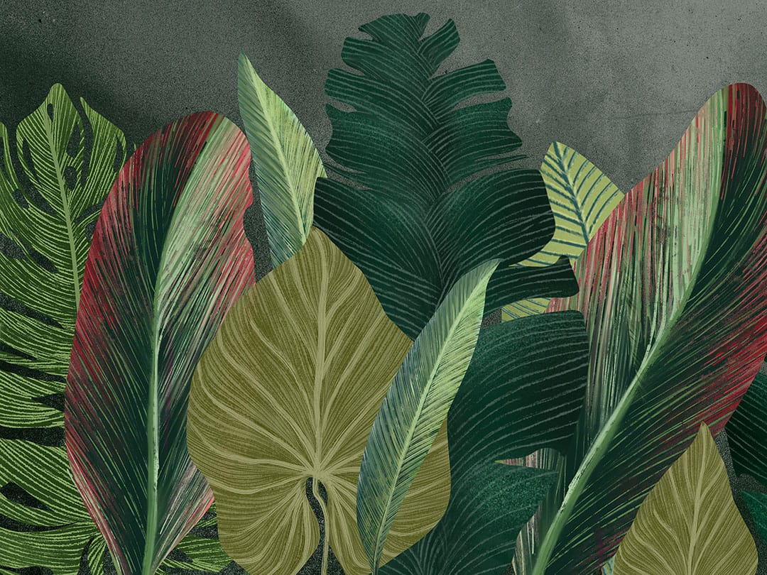 Maximalistic wall mural with detailed tropical leaves on the textured dark background
