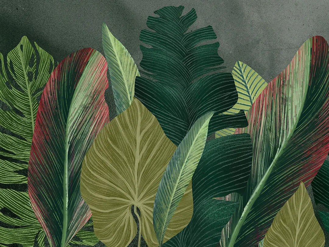 Maximalistic wall mural with detailed tropical leaves on the textured dark background