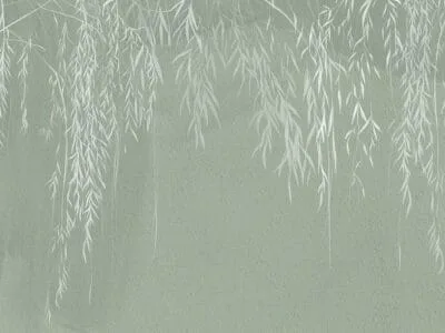 Wall mural fragile white branches with leaves on a green concrete wall