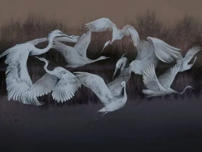 Wall mural flock of cranes in flight on the dark background