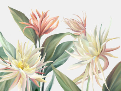 Wall mural with delicate tropical flowers and leaves on the white background