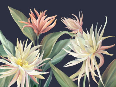 Wall mural with delicate tropical flowers and leaves on the navy blue background