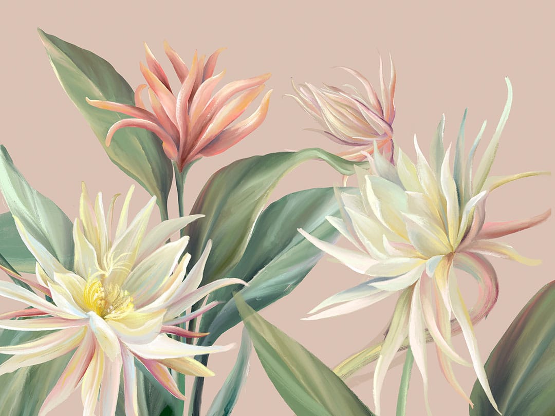 Wall mural with delicate tropical flowers and leaves on the pink background